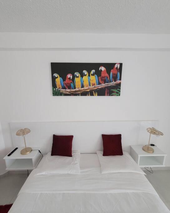 Hello Guyane, Suite Collection Cayenne Ngoại thất bức ảnh