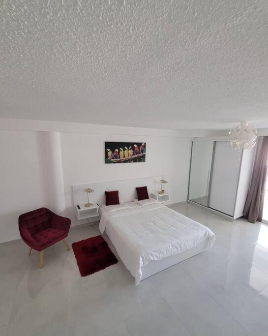 Hello Guyane, Suite Collection Cayenne Ngoại thất bức ảnh