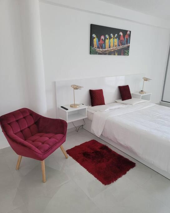 Hello Guyane, Suite Collection Cayenne Ngoại thất bức ảnh