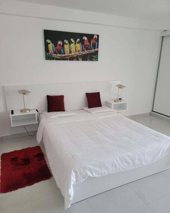 Hello Guyane, Suite Collection Cayenne Ngoại thất bức ảnh